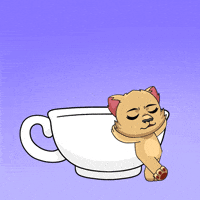 Happy Wednesday Morning GIF by Kabu