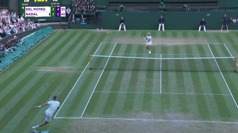 del potro fall GIF by Wimbledon