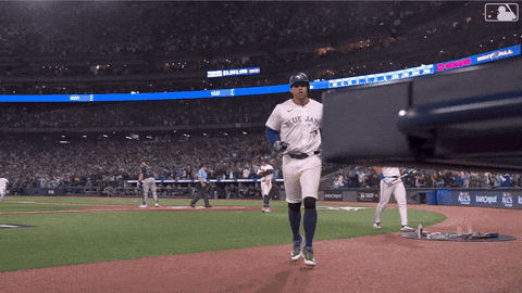 Blue Jays Baseball GIF by Toronto Blue Jays