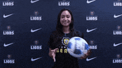 VUAthletics vuathletics vubeach GIF