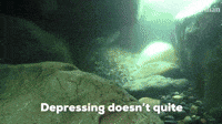 Depressing Doesn't Quite Cover It