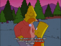 bart simpson episode 22 GIF