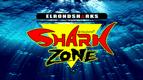 Wave Ocean GIF by SHARK ZONE