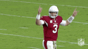 Arizona Cardinals Football GIF by NFL
