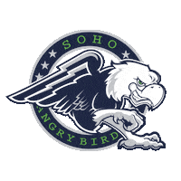 F45Balestier Sticker by F45AB