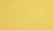 intern internship GIF by Mailchimp