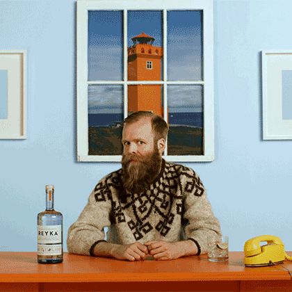 ReykaVodka surprise hey you got it questionable GIF
