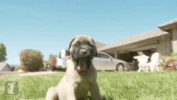 celebrating GIF