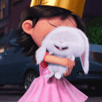 Pet-bunny GIFs - Get the best GIF on GIPHY