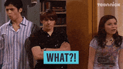 Drake And Josh Nickelodeon GIF by NickRewind
