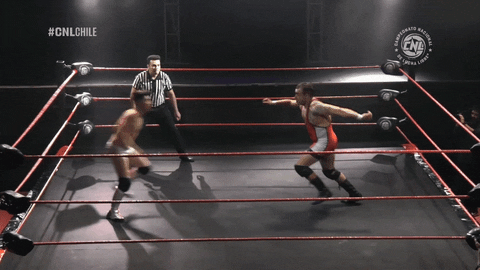 Fight Wrestling GIF by CNL Chile