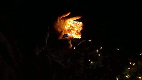 margotalva giphyupload GIF