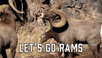 LET'S GO RAMS