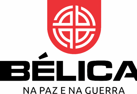 belicamilitar giphygifmaker GIF