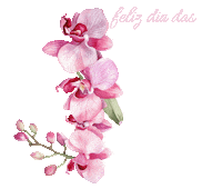 Mulher Sticker