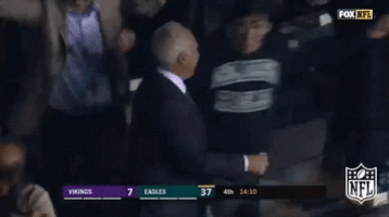 philadelphia eagles football GIF by NFL