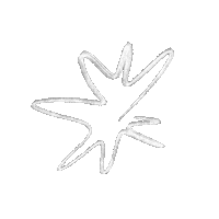 littlemoonshowcase space star csillag holdmuhely Sticker