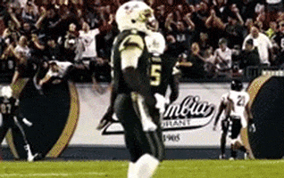 happy quinton flowers GIF by USF Athletics