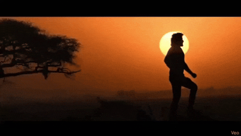 Globetrotter Priyankachopra GIF