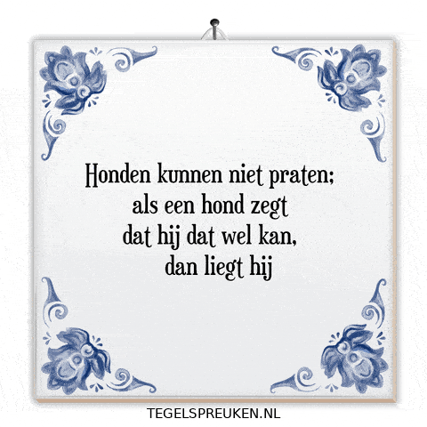 Spreuk Trots GIF by Tegelspreuken.nl
