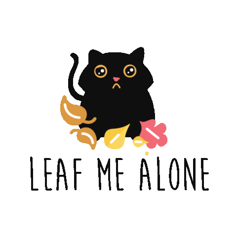 Black Cat Sticker by Rover.com