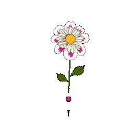 Kytka Vole Sticker