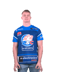 Happy Nhl Sticker by ZSC Esports