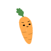 Food Orange Sticker