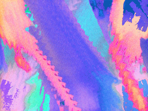 giphy.gif
