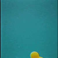 Rubber Duck Loop GIF