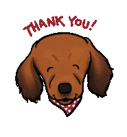 Thanks Thank You Sticker