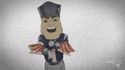 Dance Dancing GIF by New England Patriots