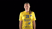 Hbf GIF by Handball Bundesliga Frauen