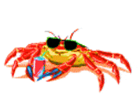 Cancer Season GIF by haydiroket