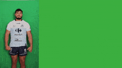 asfleurancerugbyofficiel  GIF