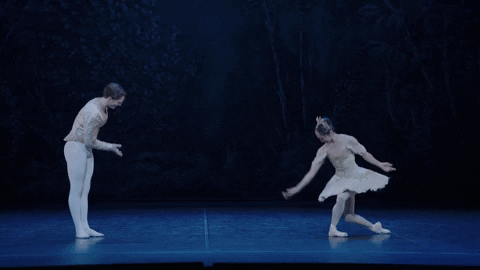 Nutcracker GIF by English National Ballet