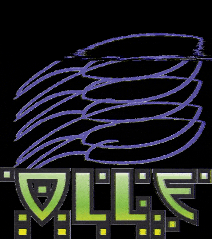 eaglepatches patches GIF