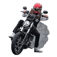 Harley Davidson Smoke Sticker by Dirt Bike Kidz