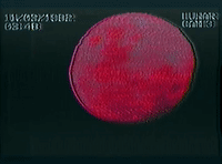 glitchedmemories  GIF