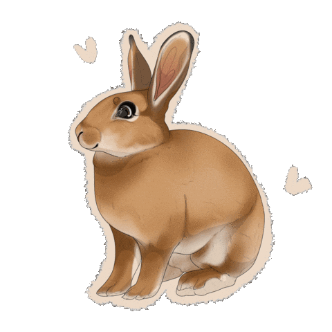Bunny Rabbit Sticker