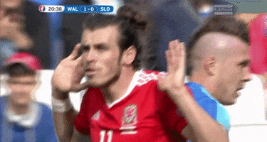 euro 2016 GIF by Sporza