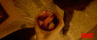 Gaspar Noe Drink GIF by Raven Banner Entertainment