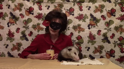 GIF by wildKitty