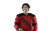 Italian Hockey Sticker by Huntsville Havoc
