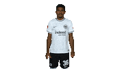 Happy Celebration Sticker by Eintracht Frankfurt