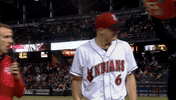 minor league baseball GIF
