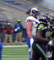 National Football League GIF by NFL