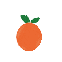 Orange Fruit Sticker