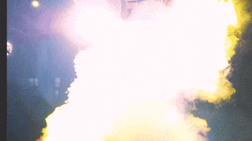 college baseball fsu GIF by NCAA Championships