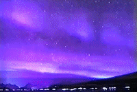 glitchedmemories  GIF